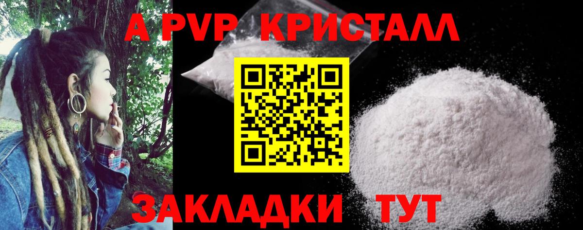A PVP СК КРИС Ставрополь