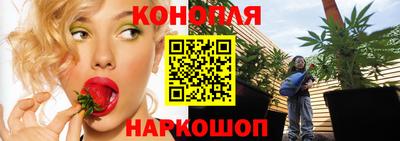 бошки Дубна