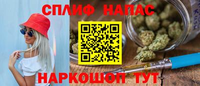 бошки Дубна