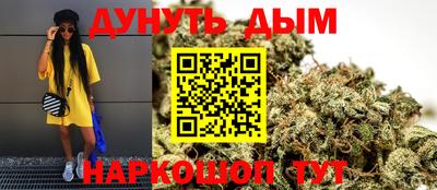 бошки Дубна