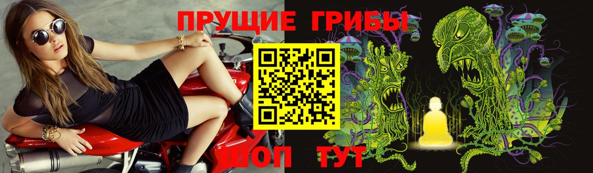 Галлюциногенные грибы прущие грибы  Вход с VPN  Ставрополь  Галлюциногенные грибы ЛСД 